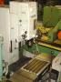 HAUSER -