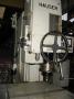 HAUSER -